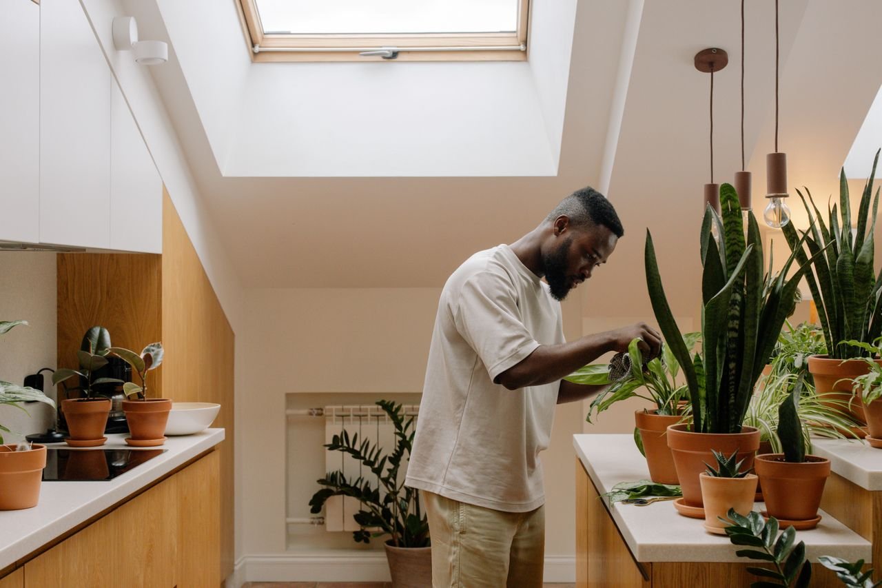 Indoor Gardening Ideas for Apartments and Small Spaces